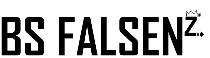 BS FALSEN Z, logo